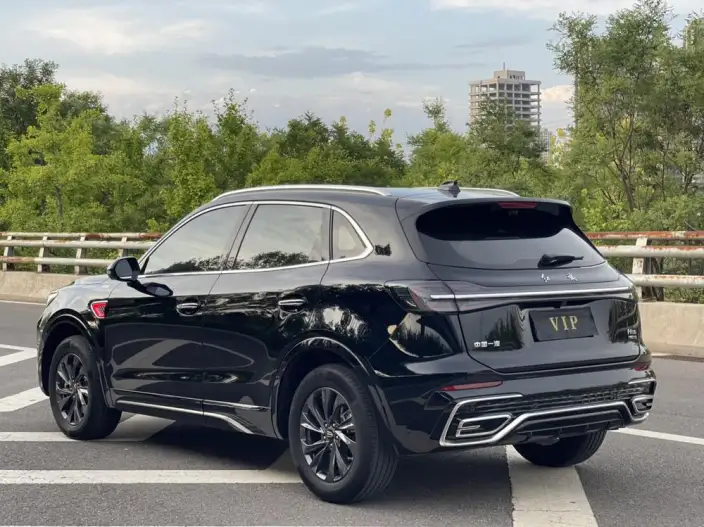 Hongqi HS5 2023 Model 2.0T Flag Xiang Pro Edition – фото 5