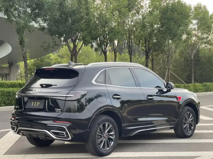 Hongqi HS5 2023 Model 2.0T Flag Xiang Pro Edition – фото 7