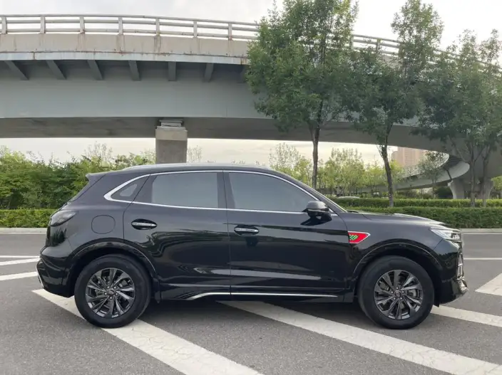 Hongqi HS5 2023 Model 2.0T Flag Xiang Pro Edition – фото 8