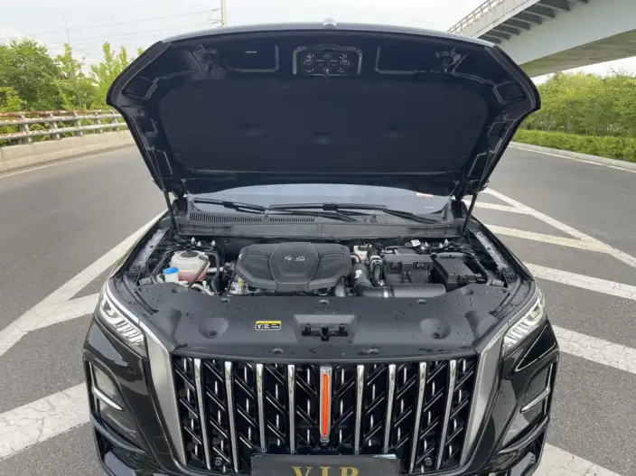Hongqi HS5 2023 Model 2.0T Flag Xiang Pro Edition – фото 10