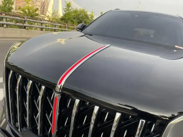 Hongqi HS5 2023 Model 2.0T Flag Xiang Pro Edition – фото 11