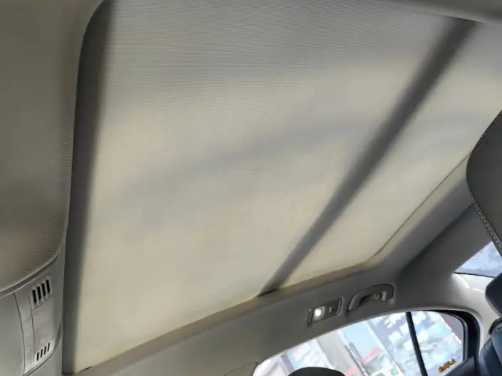 Volkswagen Magotan 2020 Model 330TSI DSG Leading Model – фото 13