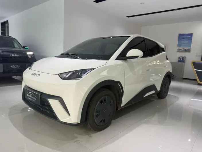 BYD Seagull 2025 Model Smart Driving Edition 305KM Vitality Edition – фото 1