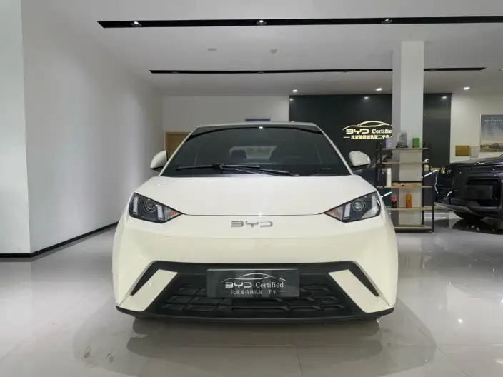 BYD Seagull 2025 Model Smart Driving Edition 305KM Vitality Edition – фото 2