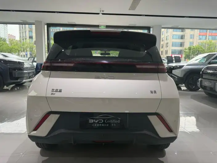 BYD Seagull 2025 Model Smart Driving Edition 305KM Vitality Edition – фото 4