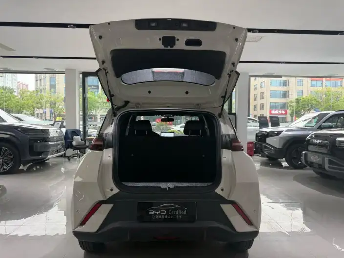 BYD Seagull 2025 Model Smart Driving Edition 305KM Vitality Edition – фото 10