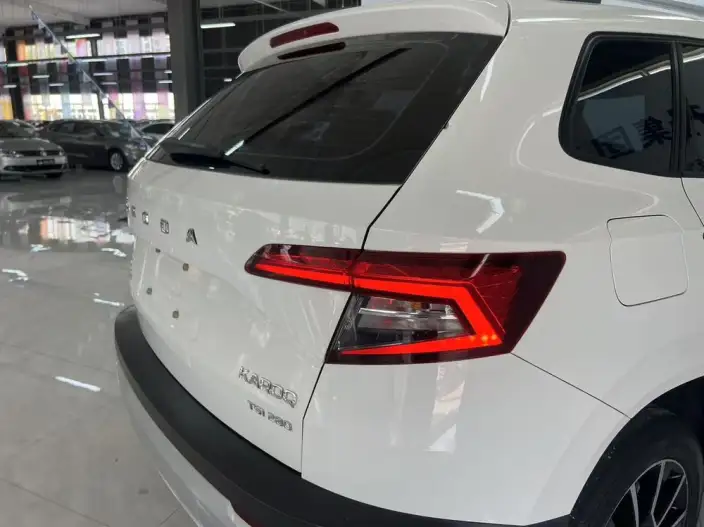 Karoq 2020 Model TSI280 Zhixing Technology Edition – фото 6
