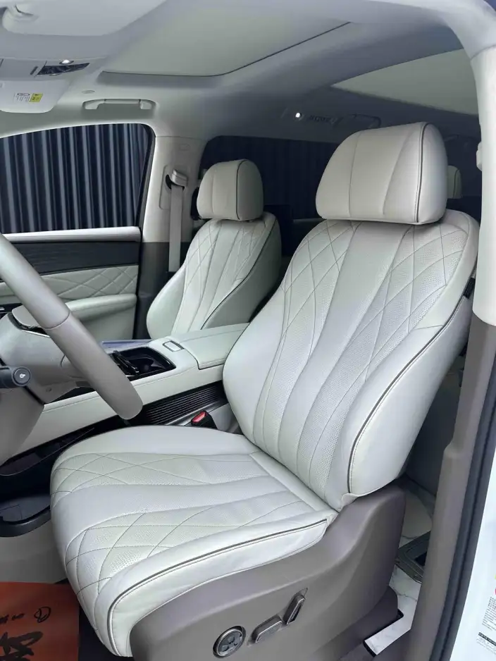 DENZA D9 DM 2022 Model 970 4WD Zunrong Model – фото 10