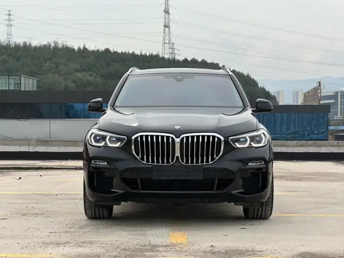 BMW X5 PHEV 2021 Model xDrive45e M Sports Set – фото 2