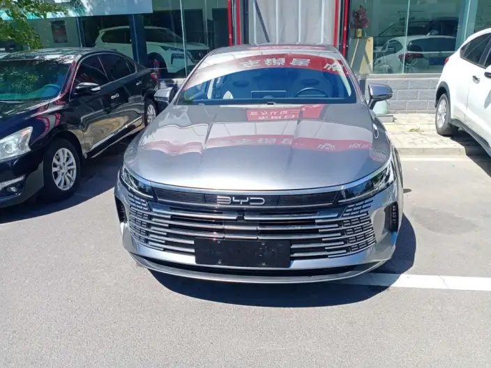 BYD Destroyer 05 2024 Model Honor Edition DM-i 55KM Luxury Model – фото 2