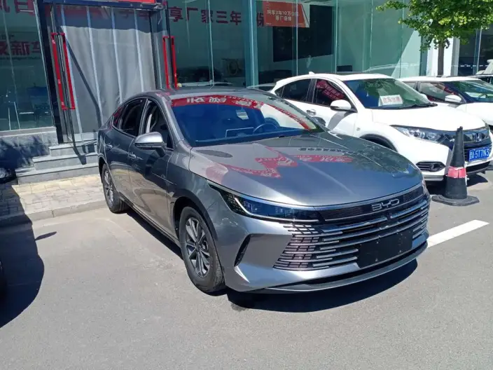 BYD Destroyer 05 2024 Model Honor Edition DM-i 55KM Luxury Model – фото 3