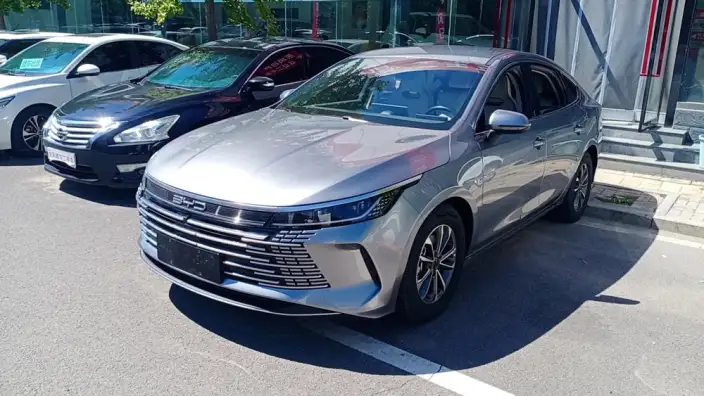 BYD Destroyer 05 2024 Model Honor Edition DM-i 55KM Luxury Model – фото 4