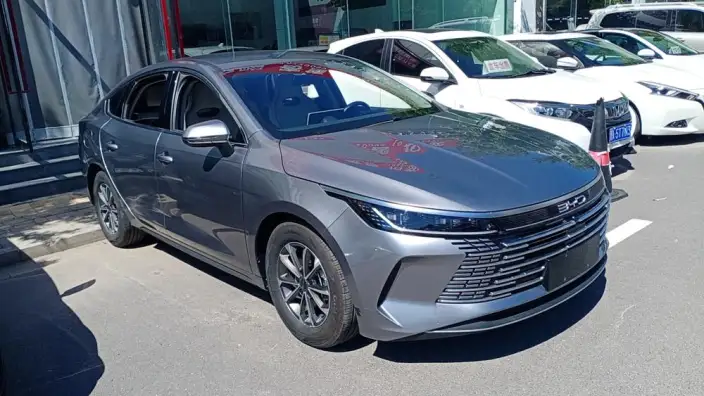 BYD Destroyer 05 2024 Model Honor Edition DM-i 55KM Luxury Model – фото 5