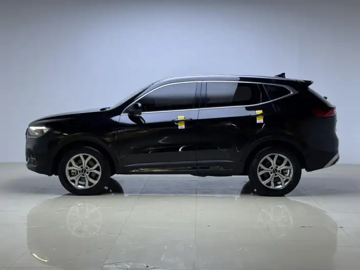 Haval H6 2021 Model Guo Trendy Edition 1.5GDIT Automatic Champion Edition – фото 4