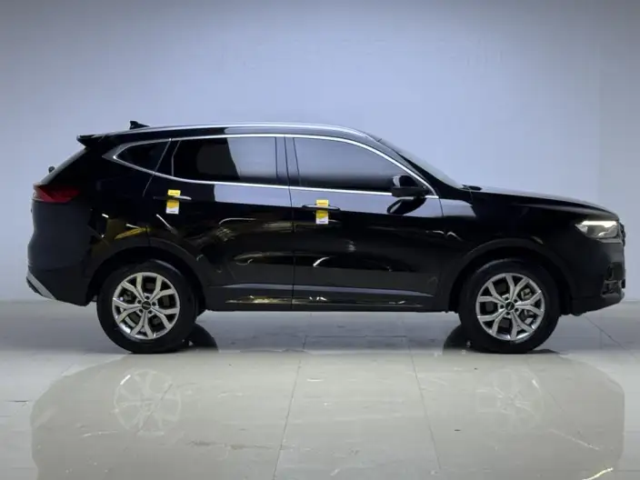 Haval H6 2021 Model Guo Trendy Edition 1.5GDIT Automatic Champion Edition – фото 8