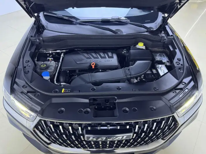 Haval H6 2021 Model Guo Trendy Edition 1.5GDIT Automatic Champion Edition – фото 10
