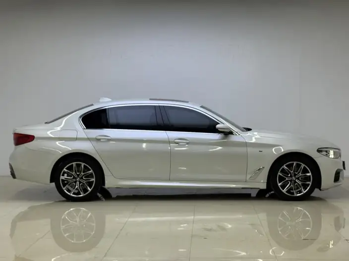 BMW 5 Series 2020 Model 525Li M Sports Set – фото 8