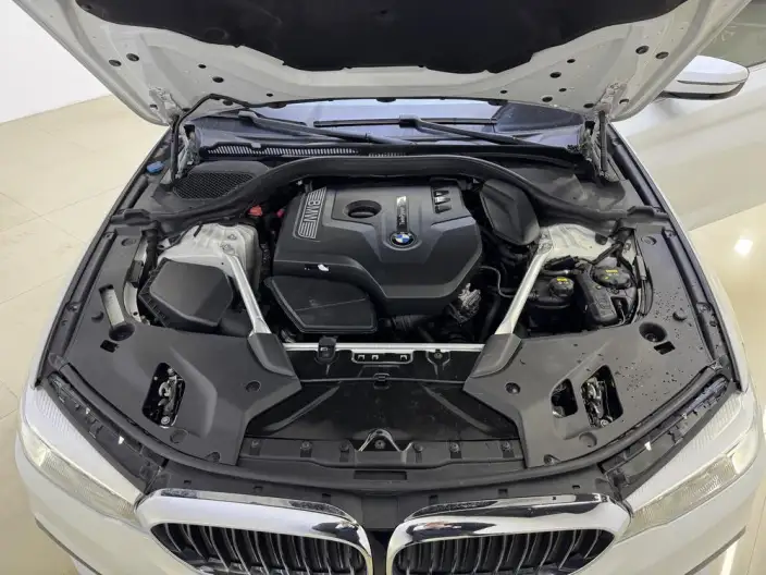 BMW 5 Series 2020 Model 525Li M Sports Set – фото 10