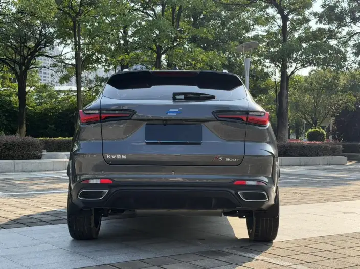 Changan Oshan X5 2022 Model 1.5T DCT Warrior Edition – фото 3