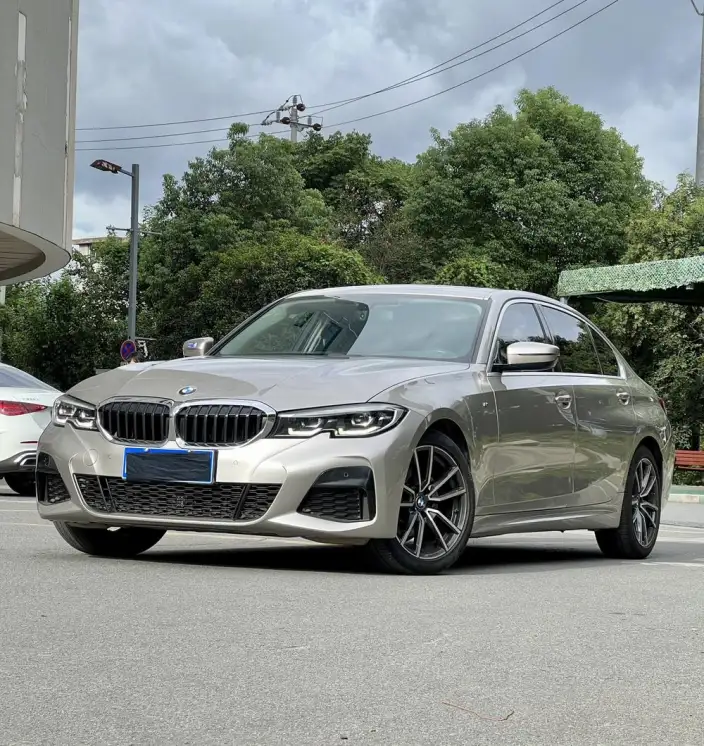 BMW 3 Series 2020 Model 320Li M Sports Set – фото 1