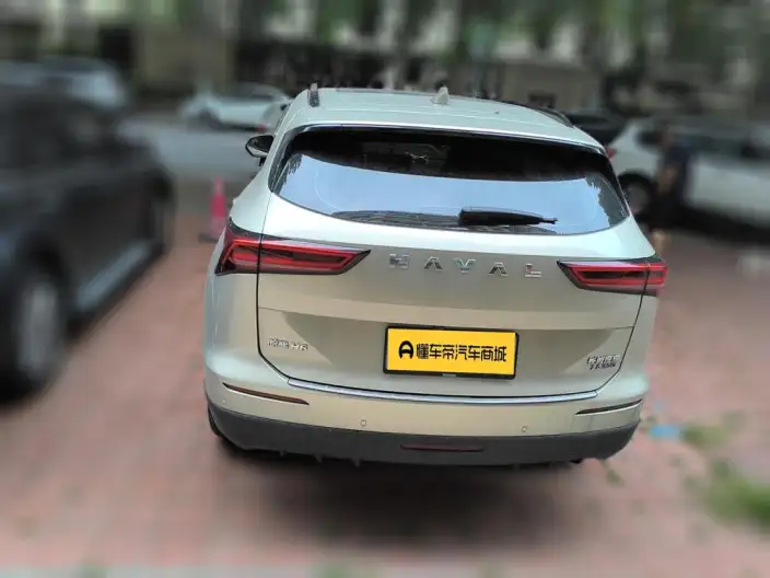 Haval H6 2024 Model 2.0T Automatic 4WD Max Edition – фото 5