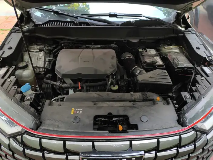 Haval H6 2024 Model 2.0T Automatic 4WD Max Edition – фото 19