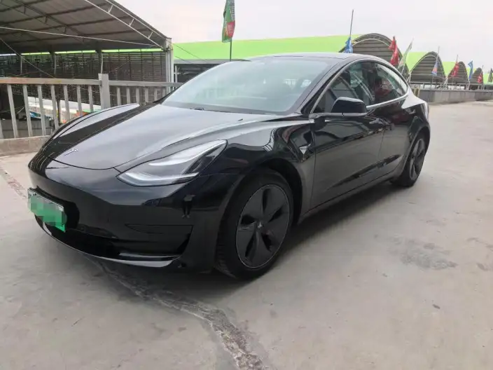 Model 3 2020 Model Standard Battery Life Rear Drive L Class Edition – фото 1