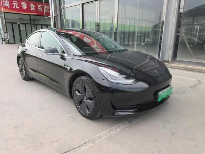 Model 3 2020 Model Standard Battery Life Rear Drive L Class Edition – фото 3