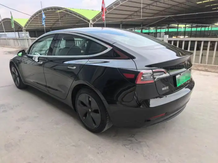 Model 3 2020 Model Standard Battery Life Rear Drive L Class Edition – фото 4