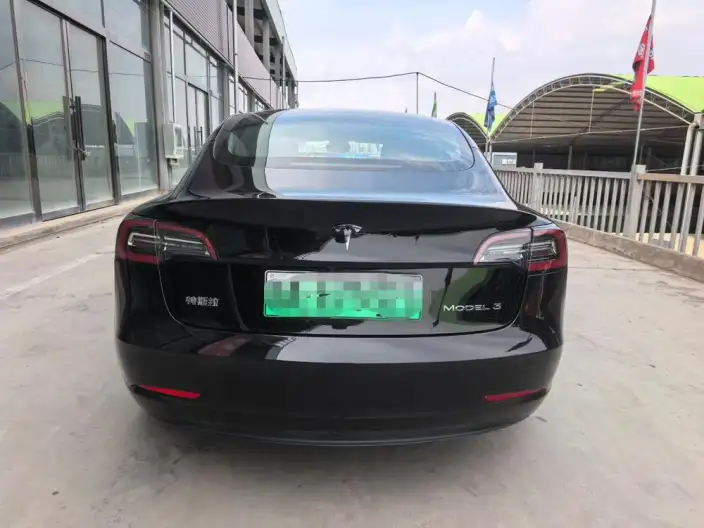 Model 3 2020 Model Standard Battery Life Rear Drive L Class Edition – фото 5