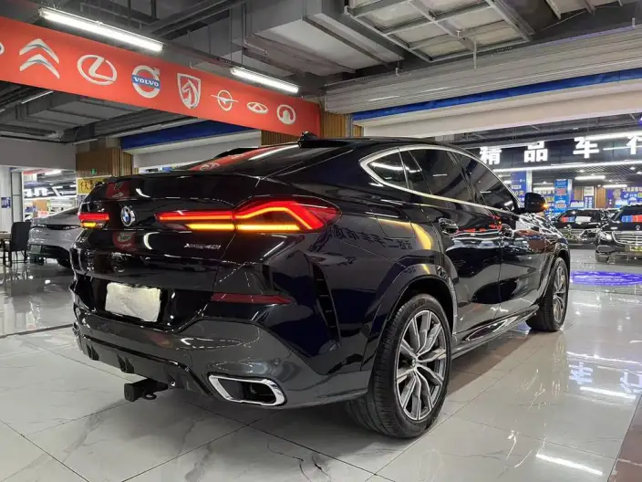 BMW X6 2021 Model xDrive40i M Sports Set – фото 6