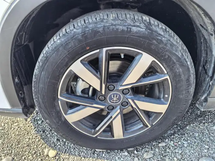 BYD Song Pro DM 2023 Model DM-i Champion Edition 71km Pilot Model – фото 10