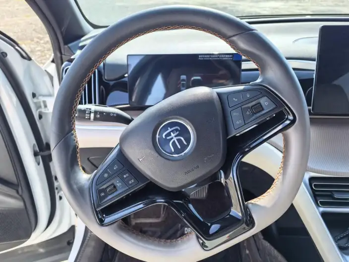 BYD Song Pro DM 2023 Model DM-i Champion Edition 71km Pilot Model – фото 13