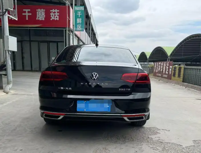 Volkswagen Magotan 2020 Model 330TSI DSG Luxury Model – фото 5