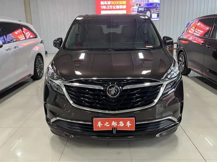 Buick GL8 2021 Model ES Luzun 653T Flagship Model – фото 2