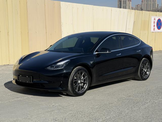 Tesla Model 3 2021 Standard Range RWD Upgraded 3D1 – фото 1