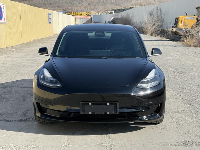 Tesla Model 3 2021 Standard Range RWD Upgraded 3D1 – фото 2