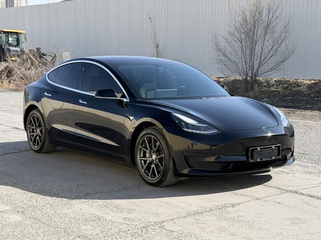 Tesla Model 3 2021 Standard Range RWD Upgraded 3D1 – фото 3