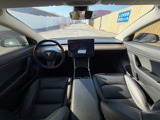 Tesla Model 3 2021 Standard Range RWD Upgraded 3D1 – фото 4