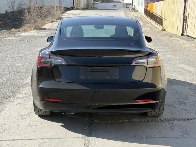 Tesla Model 3 2021 Standard Range RWD Upgraded 3D1 – фото 8