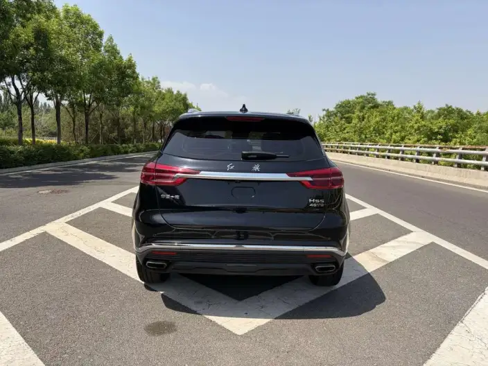 Hongqi HS5 2022 Model 2.0T Smart Flag Enjoy Edition – фото 6