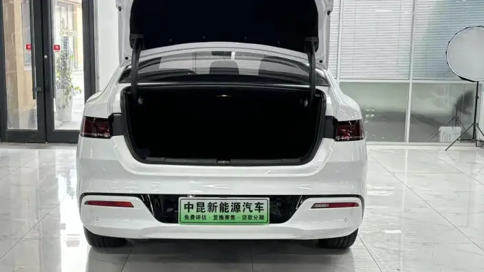 BYD Qin PLUS DM 2023 Model DM-i Champion Edition 55KM Leading Model – фото 5
