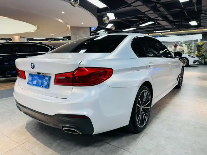 BMW 5 Series 2020 Model 530Li Leading Model M Sports Set – фото 5