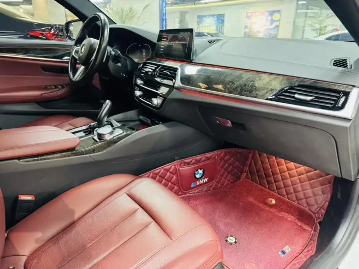 BMW 5 Series 2020 Model 530Li Leading Model M Sports Set – фото 6