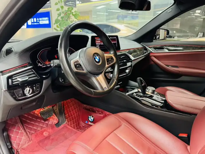 BMW 5 Series 2020 Model 530Li Leading Model M Sports Set – фото 8