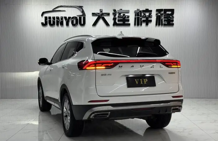 Haval H6 2021 Model Guo Trendy Edition 1.5T Automatic Champion Edition – фото 5