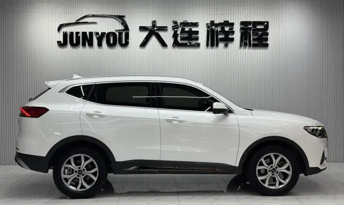 Haval H6 2021 Model Guo Trendy Edition 1.5T Automatic Champion Edition – фото 8