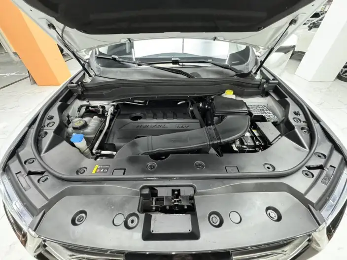 Haval H6 2021 Model Guo Trendy Edition 1.5T Automatic Champion Edition – фото 9