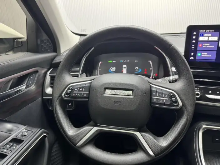 Haval H6 2021 Model Guo Trendy Edition 1.5T Automatic Champion Edition – фото 17