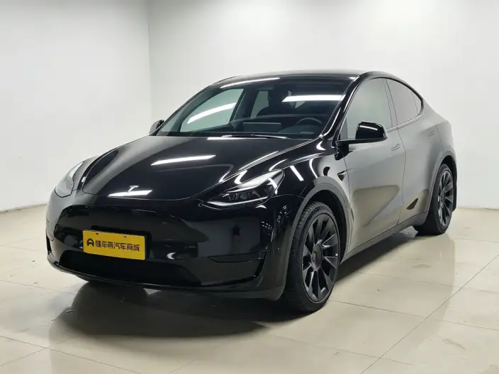 Model Y 2022 Model Rear-wheel drive version – фото 1